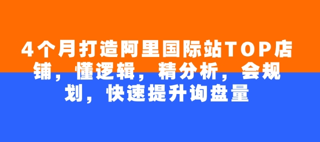 4个月打造阿里国际站TOP店铺，懂逻辑，精分析，会规划，快速提升询盘量-路子网