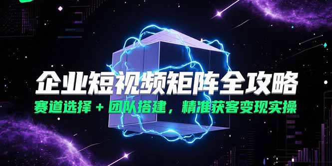 企业短视频矩阵全攻略，赛道选择+团队搭建，精准获客变现实操-路子网