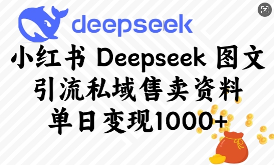 小红书Deepseek图文引流私域售卖资料，单日变现多张-路子网