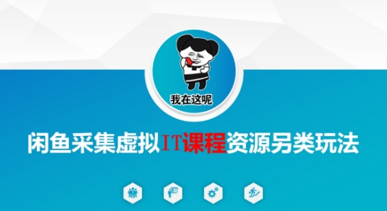 闲鱼采集虚拟IT课程资源另类玩法，干货满满-路子网