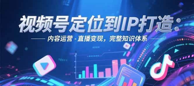 视频号定位到IP打造：账号搭建-内容运营-直播变现，完整知识体系-路子网
