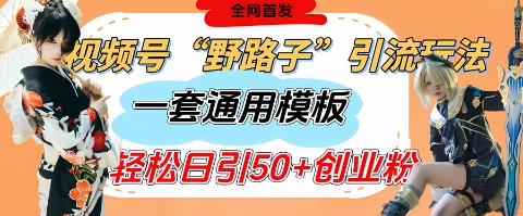 视频号“野路子”玩法，评论区疯狂截流，一套模板单日单号引流50+创业粉-路子网