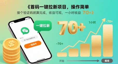 首码一键拉新项目，操作简单，接个验证码就算完成，收益可观， 一小时收益70+【揭秘】-路子网