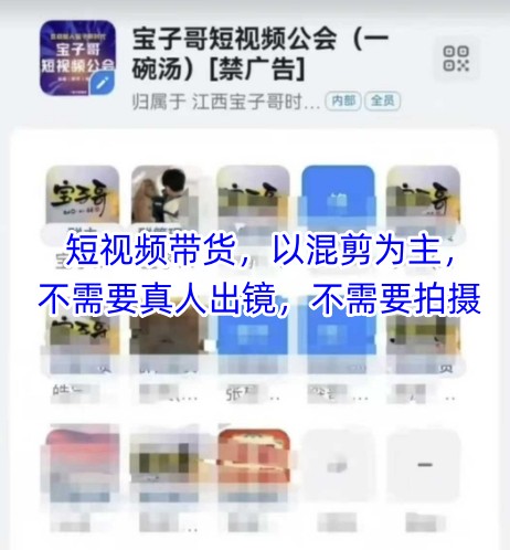 宝子哥头部团队短视频带货，以混剪为主，不需要真人出镜，不需要拍摄【更新11月】-路子网