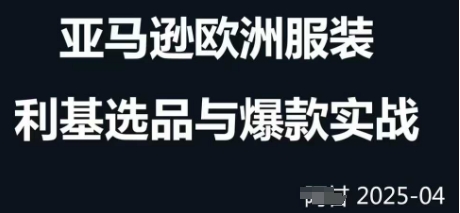 跨境电商选品案例24-25年，聚焦跨境电商选品策略与运营优化，助力卖家挖掘蓝海市场-路子网