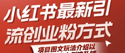小红书最新引流创业粉方式，项目图文玩法介绍以及如何安全倒流私域-路子网