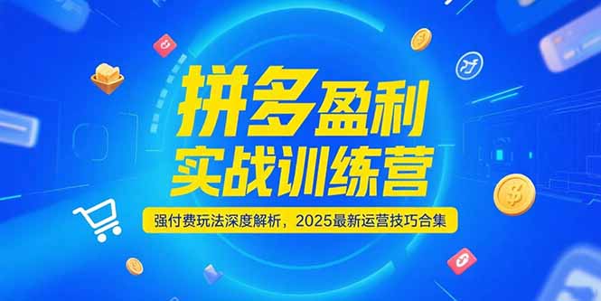 拼多多盈利实战训练营，强付费玩法深度解析，2025运营技巧合集-更新6月-路子网