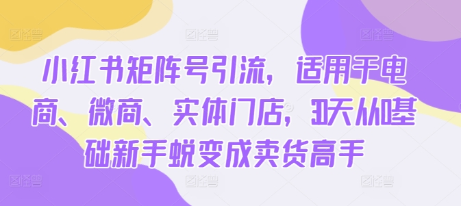 小红书矩阵号引流，适用于电商、微商、实体门店，30天从0基础新手蜕变成卖货高手-路子网