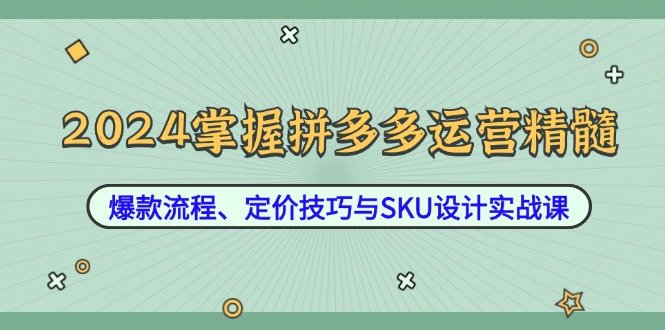 2024掌握拼多多运营精髓：爆款流程、定价技巧与SKU设计实战课-路子网