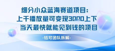 小众蓝海赛道项目：当天变现1k+适合新手操作 +适合长期玩-路子网