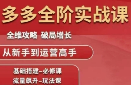 拼多多全阶实战课程，全维攻略，破局增长，从新手到运营高手-路子网