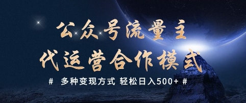 公众号流量主代运营  多种变现方式 轻松日入5张【揭秘】-路子网
