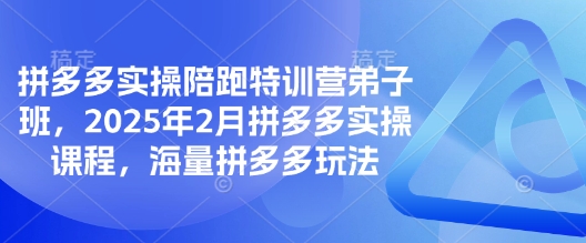 拼多多实操陪跑特训营弟子班，2025年2月拼多多实操课程，海量拼多多玩法-路子网