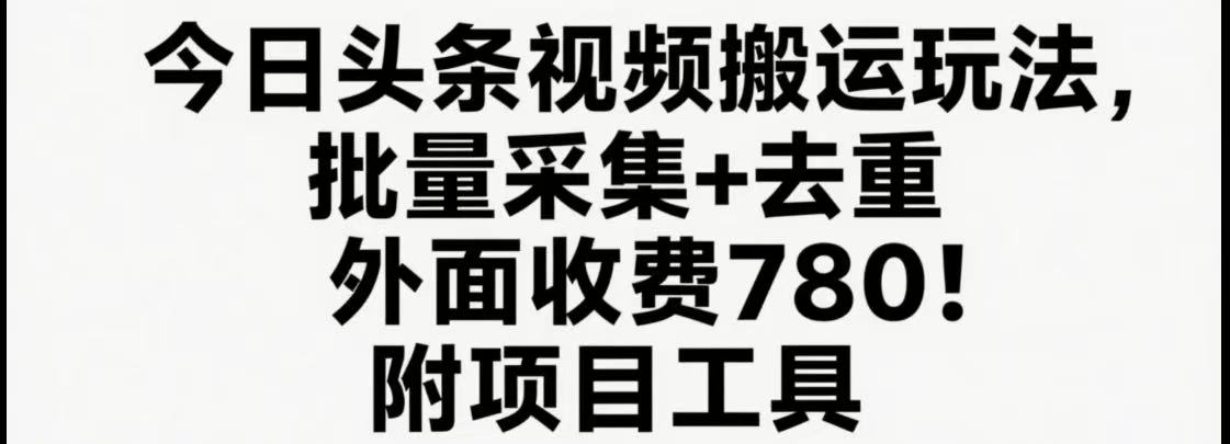 今日头条视频搬运玩法，软件一键去重，轻松日入500+附项目工具-路子网