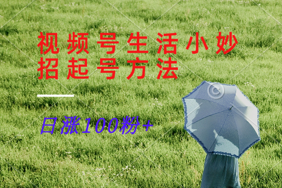 视频号生活小妙招分享赛道， 起号涨粉新方法，日涨100粉-路子网