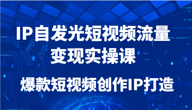 IP自发光短视频流量变现实操课，爆款短视频创作IP打造-路子网