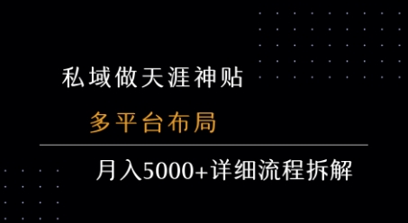 私域做天涯神贴 多平台布局 月入5k+详细流程拆解-路子网