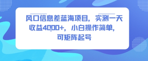 风口信息差蓝海项目，实测一天收益4k+，小白操作简单，可矩阵起号-路子网
