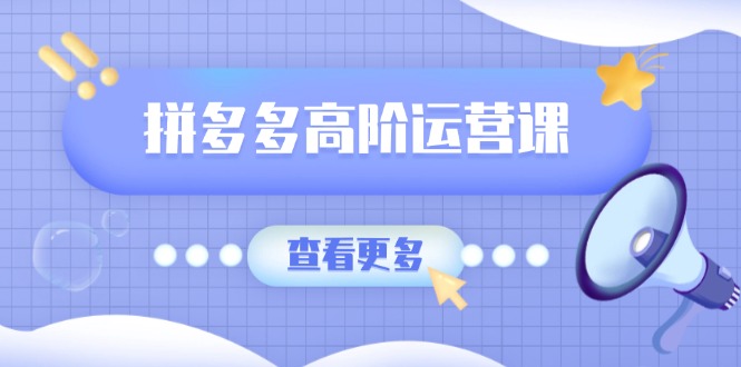 拼多多高阶运营课：极致群爆款玩法，轻付费无尽复制，打造单品爆款之路-路子网