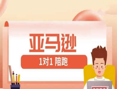 亚马逊1对1陪跑课(FBA/FBM精铺)跨境亚马逊教程-路子网