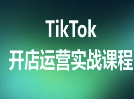 TikTok开店运营实战课程，TK跨境电商实操全流程-路子网