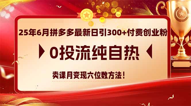 25年6月拼多多最新日引300+付费创业粉，0投流纯自热 卖课月变现六位数方法-路子网