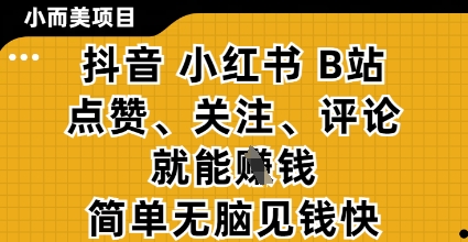 小而美的项目，抖音小红书B站视频点赞、关注、评论就能挣钱，简单无脑立见收益，妥妥的零撸项目【揭秘】-路子网