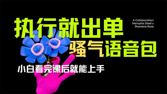 爆火全网的开车导航骚气语音包,只要执行就出单，小白看完课程就能实操…-路子网