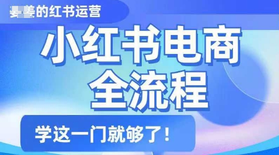 小红书电商全流程，精简易懂，从入门到精通，学这一门就够了-路子网