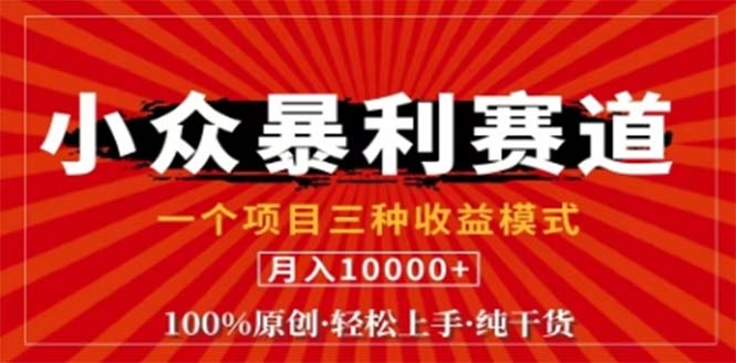 视频号最新爆火赛道，三种可收益模式，0粉新号条条原创条条热门 日入1000+-路子网