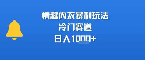情趣内衣暴利玩法，冷门赛道，日入1k+-路子网