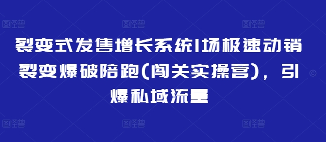 裂变式发售增长系统1场极速动销裂变爆破陪跑(闯关实操营)，引爆私域流量-路子网