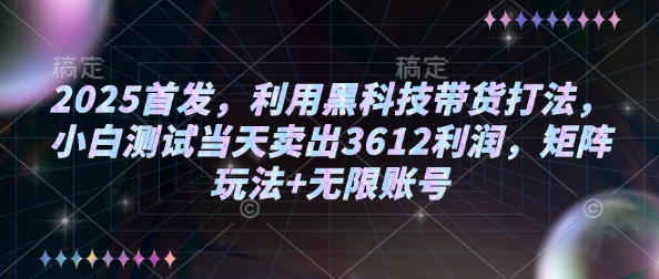 2025首发，利用黑科技带货打法，小白测试当天卖出3612利润，矩阵玩法+无限账号【揭秘】-路子网