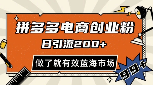 拼多多引流电商创业粉，日引200+，可矩阵放大，做了就有效【揭秘】-路子网