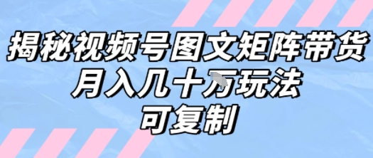 解密视频号图文矩阵带货，月入几个W的打法，可复制-路子网