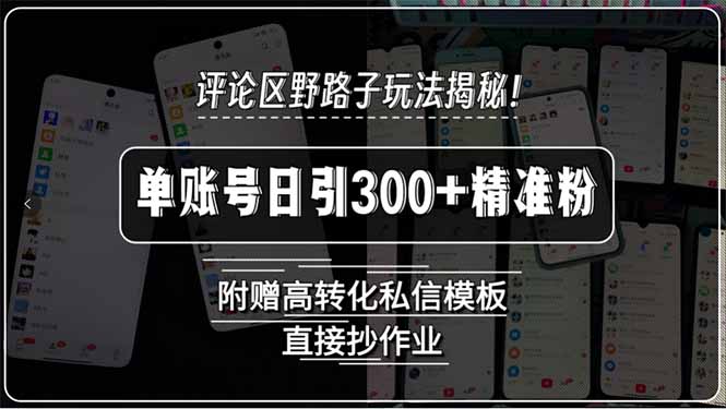评论区野路子玩法揭秘！单账号日引300+精准粉，附赠高转化私信模板，直…-路子网