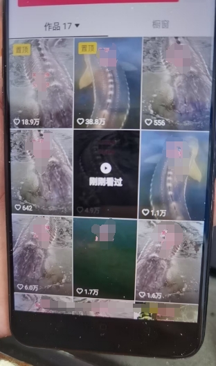 外面卖399的国学佛像原创暴力起号技术，快速起号，7天可达到一个万粉号-路子网