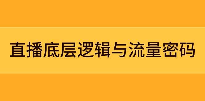 直播底层逻辑与流量密码：定位模型+案例拆解，急速流承接与数据优化全攻略-路子网
