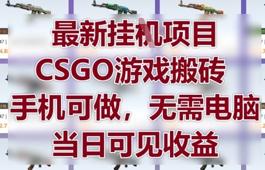 最新挂G项目，CSGO游戏搬砖，手机可做，无需电脑，当日见收益【揭秘】-路子网