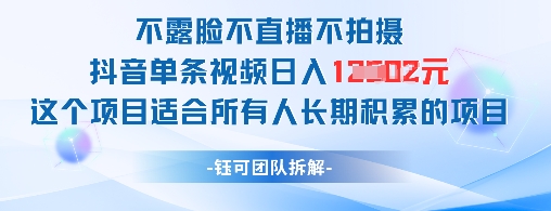 不露脸不直播不拍摄抖音单条视频日入1k+这个项目适合所有人长期积累的项目-路子网