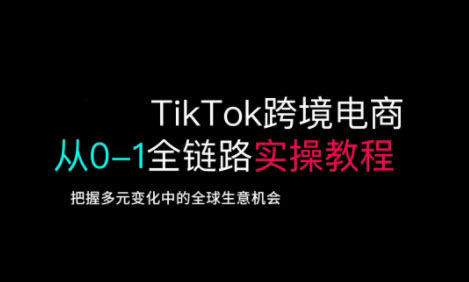 TikTok电商运营从基础到高阶全方位实操-路子网
