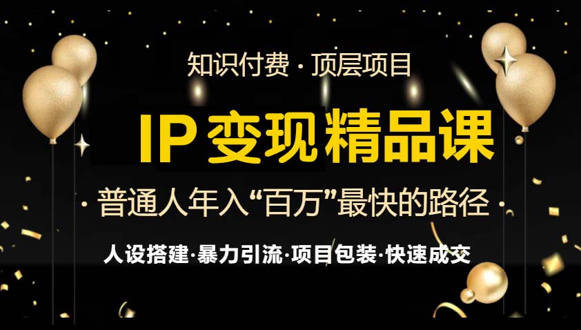 IP变现最新精品课程，知识付费全流程+最强引流术+小白避坑指南-路子网