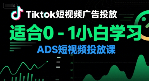 Tiktok短视频广告投放，适合0-1小白学习ADS短视频投放课-路子网