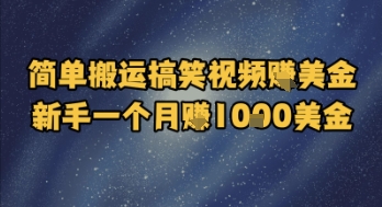 简单搬运搞笑视频挣美金，新手一个月入1k美金-路子网