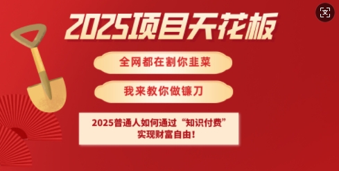 2025项目天花板普通人如何通过知识付费，实现财F自由【揭秘】-路子网