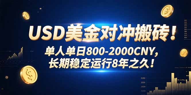 USD美金对冲搬砖!单人单日800-2000CNY，长期稳定运行8年之久!-路子网